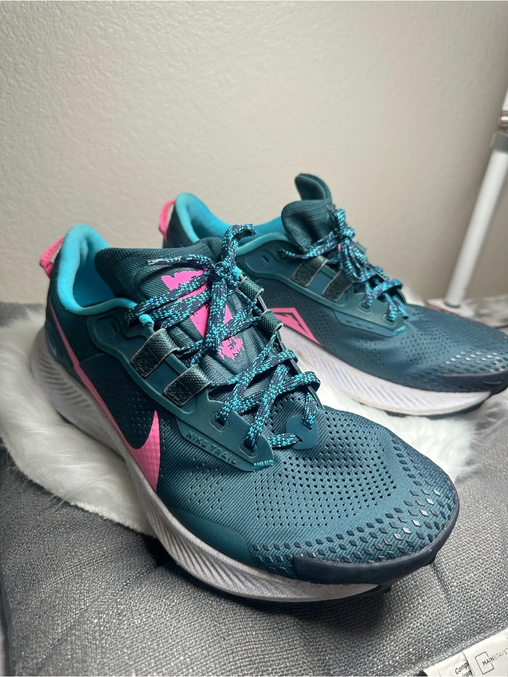 Nike Women’s Teal and Pink Training Sneakers